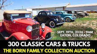 Amazing Born Family Collection Auction Approx 300 Classics & More!