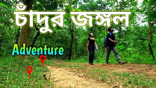 Chandur Forest Arambagh Arambagh Tourist Places One Day Weekend Tour Near Kolkata