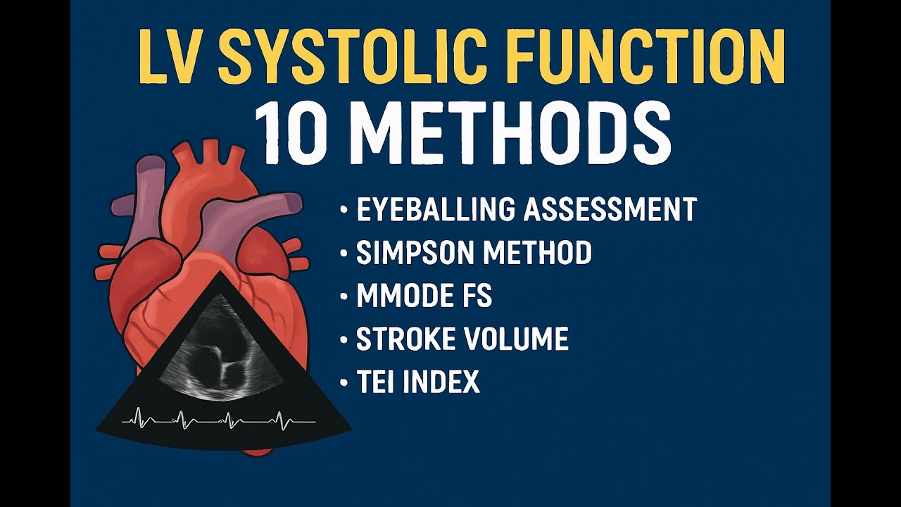 LV Systolic Function Assessment 10 Essential Echocardiography Methods