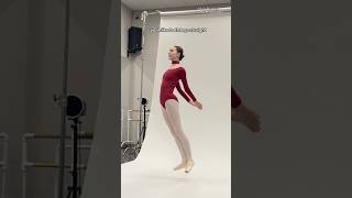 do a firebird LEGS CLOSED ?! 🤨