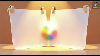 Why Do Bathroom Windows Blur The View But Let Light In? Grade 2 Light And Shadows