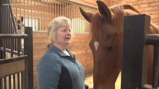 Side Hustles: Horse hotel