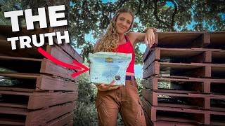 The Truth About Formic Pro | Pros, Cons & Common Mistakes #beekeeping