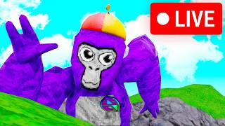 🔴Gorilla Tag Live With Viewers!🔴