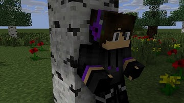 Intro cho Ender Boy Minter TM MC