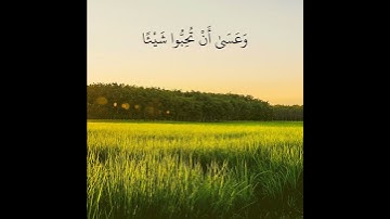 تلاوة خاشعة تريح القلب | القارئ اسلام صبحي | وَعَسَىٰ أَنْ تَكْرَهُوا شَيْئًا وَهُوَ خَيْرٌ لَكُمْ ۖ