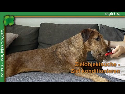 ZOS - Zielobjektsuche mit Thomas Baumann (c) Hundedvd