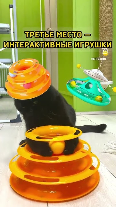 Топ игрушек для котов #котики #cat #кот #котик #животные #кошки #коты # ...