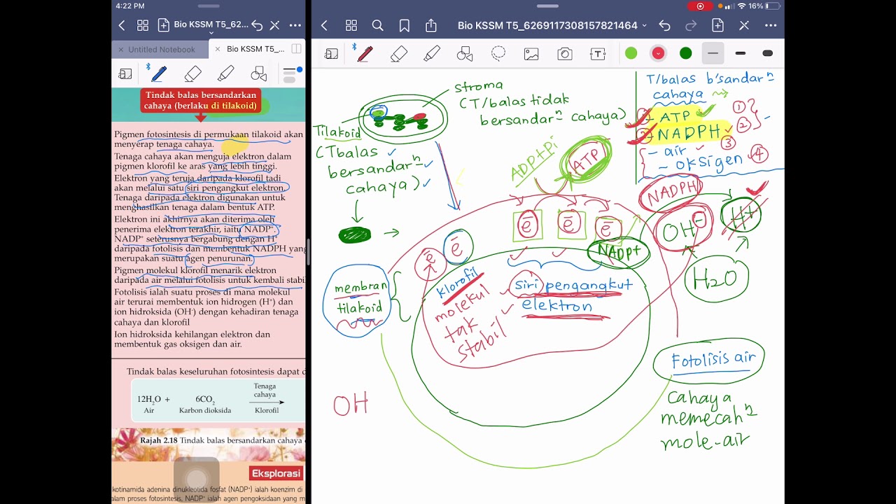 KSSM BIOLOGI TING 5 (2.4 PART 2 - TINDAKBALAS BERSANDARKAN CAHAYA / TIDAK BERSANDAR CAHAYA)