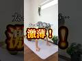 【太ったお腹が…激薄！】一緒にやろう！🔥#shorts #ダイエット #脂肪燃焼 #お腹痩せ #宅トレ#夏までに痩せる#ダイエット仲間募集