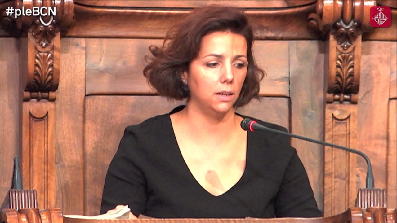 barcelona catalonia plaza hotel Compromís del Ple per vetllar pels drets del col·lectiu LGTBI