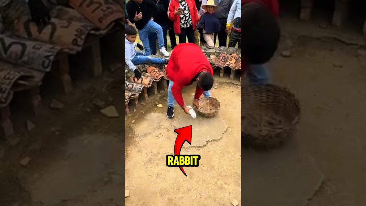 Самая смелая азартная традиция Венесуэлы: лотерея «Кролик» 🐇💰 