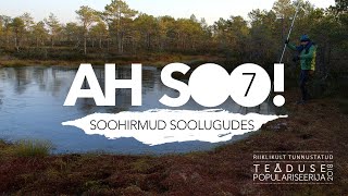 7. Soohirmud soolugudes