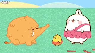 Elephant Sound Effects Compilation V7