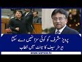 There isn't anyone 'Born' who can punish Pervez Musharraf | Barrister Saif speech in Senate