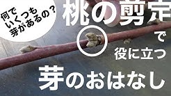 Nan Nan Back Skip Navigation Search Search Sign In Home Home Explore Explore Shorts Shorts Subscriptions Subscriptions Library Library History History ゆびあぐり ゆびあぐり 8 8k Subscribers Subscribe Home Videos Playlists Community Channels