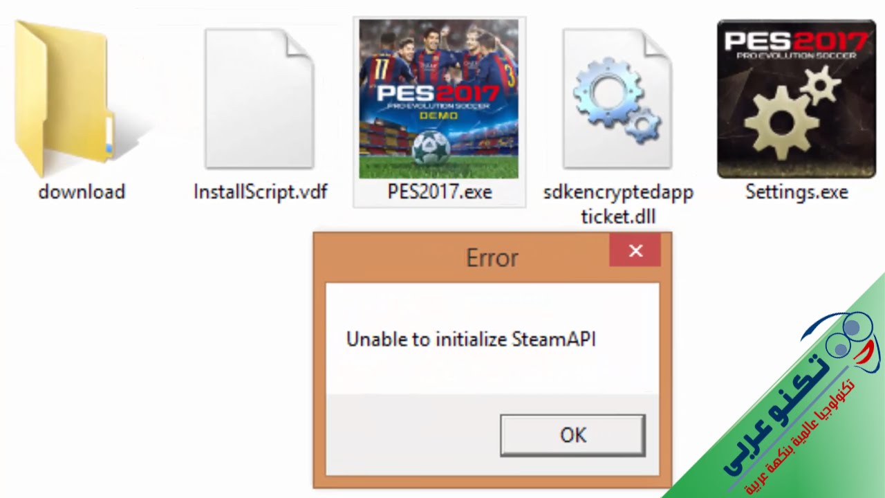 حل مشكلة رسالة خطأ Unable To Initialize Steam Api عند تشغيل لعبة
