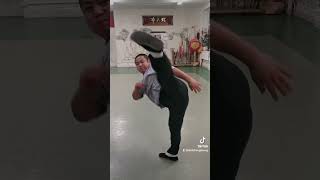 shifu hengsheng weapons training