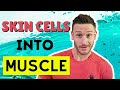 Do You Build Muscle DURING a Fast? Protein Synthesis & Fasting