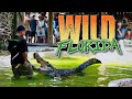 Explore What Wild Florida Has To Offer