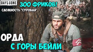 300 Фриков! Сложность СУРОВАЯ. Орда с горы Бейли(Mt.Baile) #daysgone #жизньпосле #horde #mtbailey