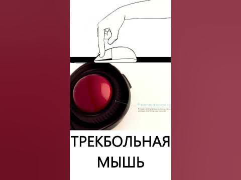 👉 Трекбольная мышь / Товары с aliexpress #shorts #aliexpressfinds # ...