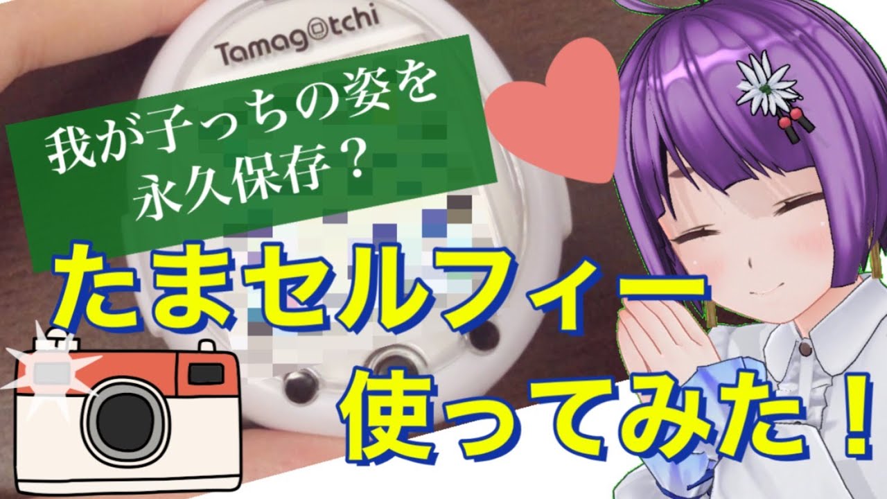 たまごっちスマート たまセルフィーとは 我が子っちの姿をパシャリ ３日目 Youtube