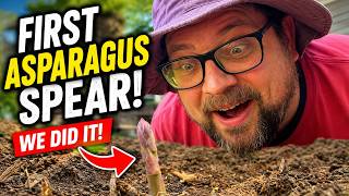 Why I'm Never Buying Asparagus Again + Garlic Expert’s Tip for Bigger Bulbs!