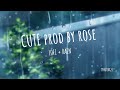 Cute prod by rose  lofi  rain 14  1 hours chill