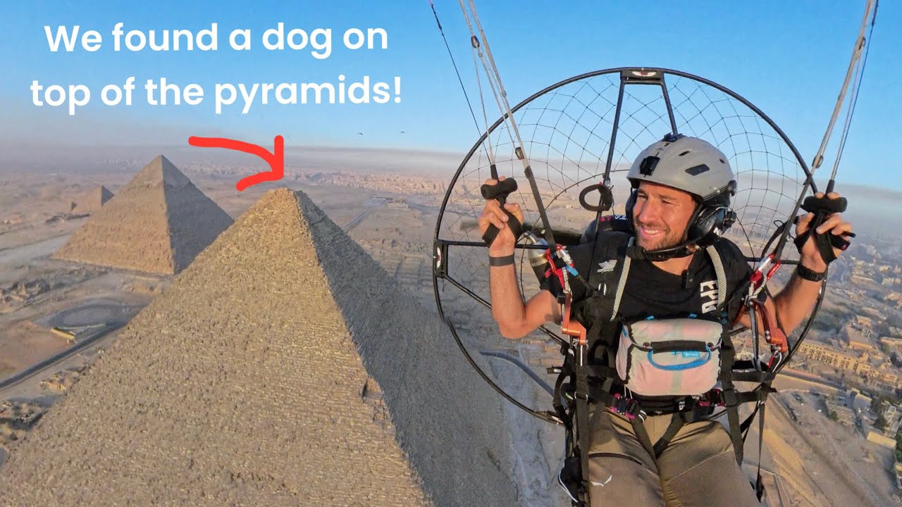 There’s a dog on top of the Great Pyramids of Giza!