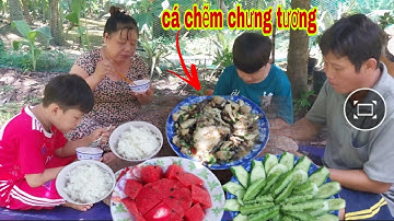 BỮA CƠM MIỀN TÂY. CÁ CHẼM CHƯNG TƯƠNG ĐẬM ĐÀ MIỀN QUÊ |ẩm thực miền quê/country rice
