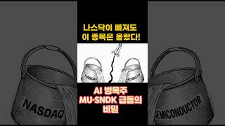 Micron(MU) & Sandisk(SNDK): 단순 반등이 아닌 'AI 병목주'로의 재평가, 지금 들어가도 될까? #마이크론 #샌디스크 #AI서버 #HBM #eSSD #미국주식