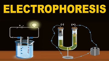 Electrophoresis | 12th Std | Chemistry | Science | CBSE Board | Home Revise