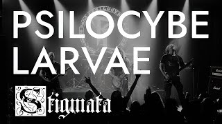 PSILOCYBE LARVAE - Stigmata (Live at Serdtse Club). 19.04.2024