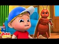 Canción De Bugs Bugs Jardín De Infancia Poesía para Los Niños