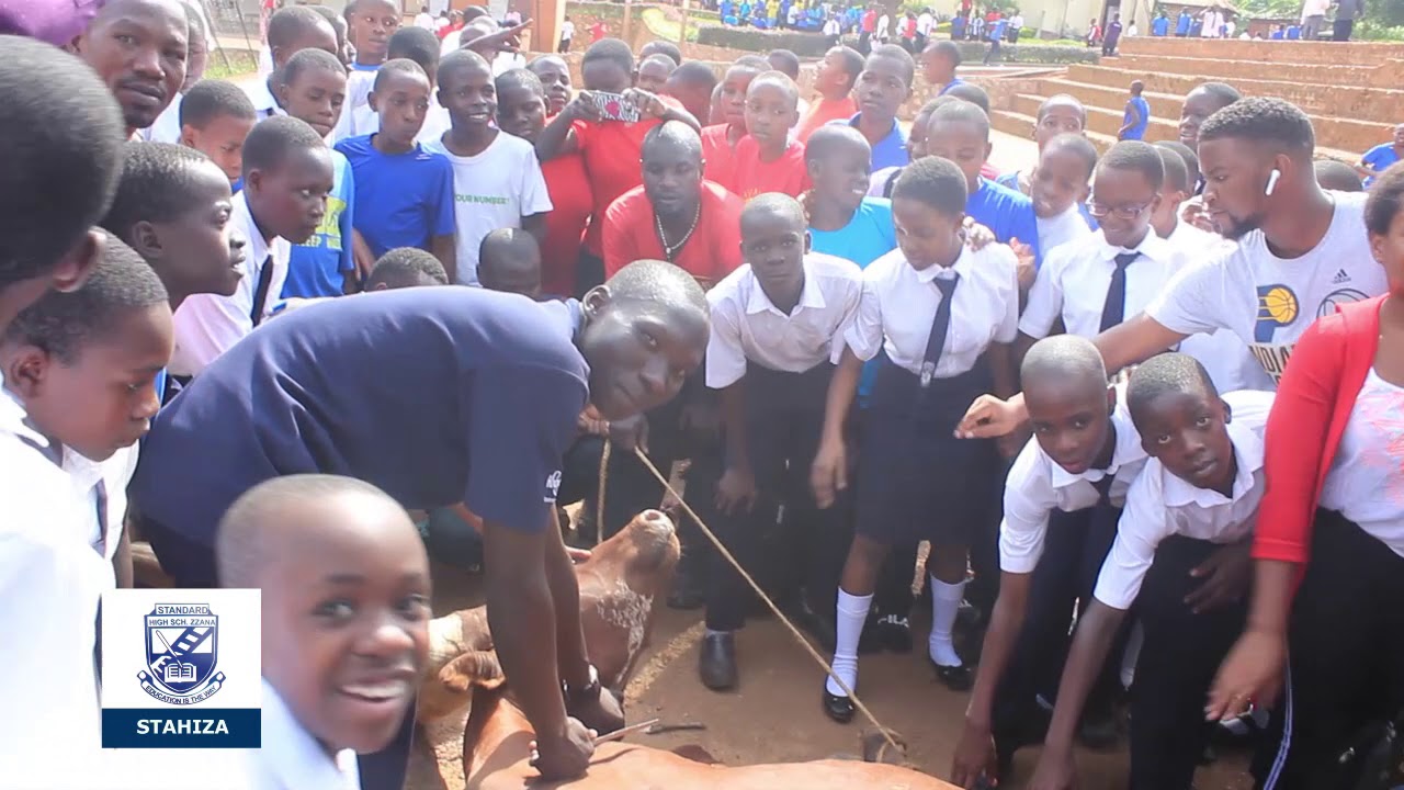 STANDARD HIGH SCHOOL ZZANA YouTube