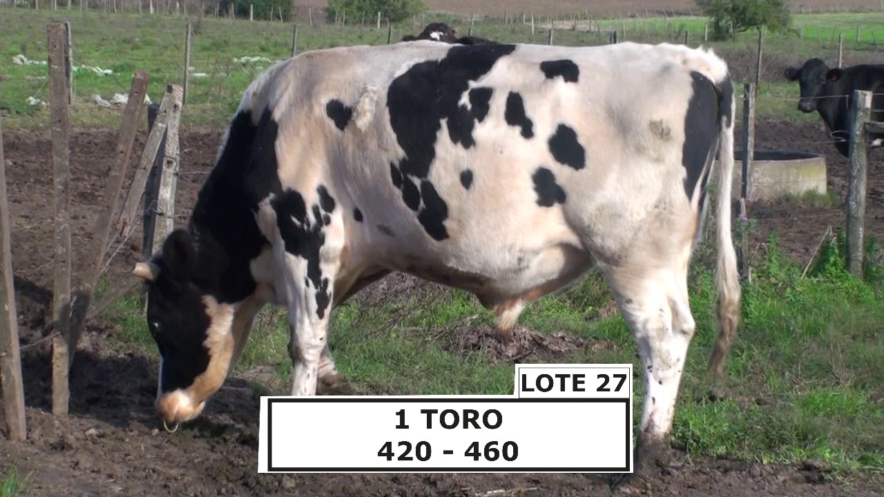 camera iphone 8 plus apk 27