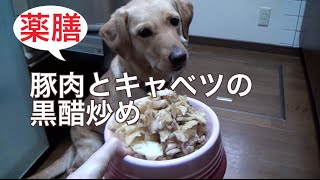 犬ご飯レシピ 春キャベツと豚肉の黒酢炒め 薬膳 Youtube 犬ご飯レシピ 春キャベツと豚肉の黒酢炒め 薬膳 Youtube