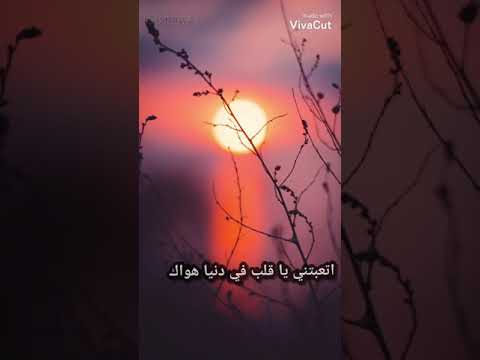 أتعبتني يا قلب في دنيا هواك الشيخ حسين الاكرف