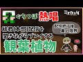 [運営]緑君の配信を裏で聞きながらやってしまう確信犯ｗｗｗ【みどろんぱ】