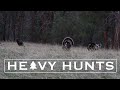 2021 Spring Turkey Hunt Intro | 4K Video | Heavy Hunts