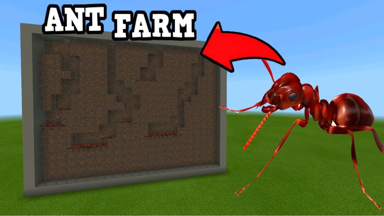 minecraft ant farm 1.11