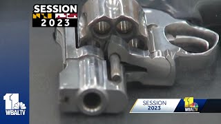 Details Series of gun bills introduced at Session 2023 Update