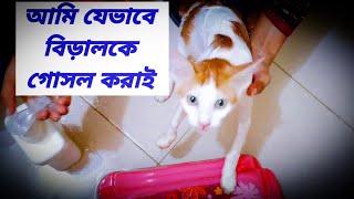 আমি যেভাবে বিড়ালকে গোসল করাই। How to Bathe/Wash your Cat that Hates Water.Cat's bath.#Lucy_Jhunjhun