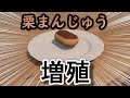 （3DCG）栗まんじゅうにバイバインかけてみた