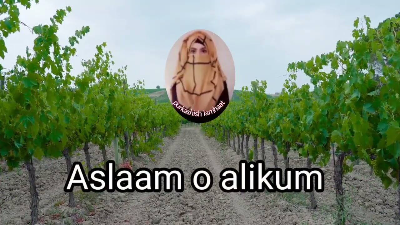 20 Best Benefits Of Green & Black Grapes for Weight loss, Skin & Hair