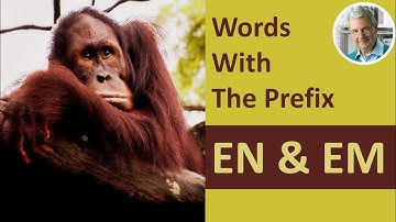 Words With the Prefix EN & EM (7 Illustrated Examples)