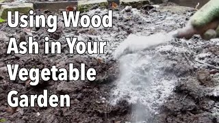 Using Wood Ash in Your Vegetable Garden