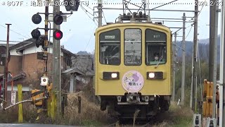 地酒電車2020　＜２＞　　　　　　　　　　　　　　　　　　　　（近江鉄道）巛巛