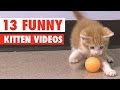 13 Funny Kittens Video Compilation 2016